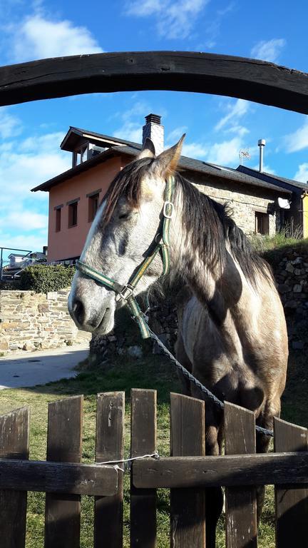 La Trucha Del Arco Iris Bed & Breakfast El Acebo de San Miguel ภายนอก รูปภาพ